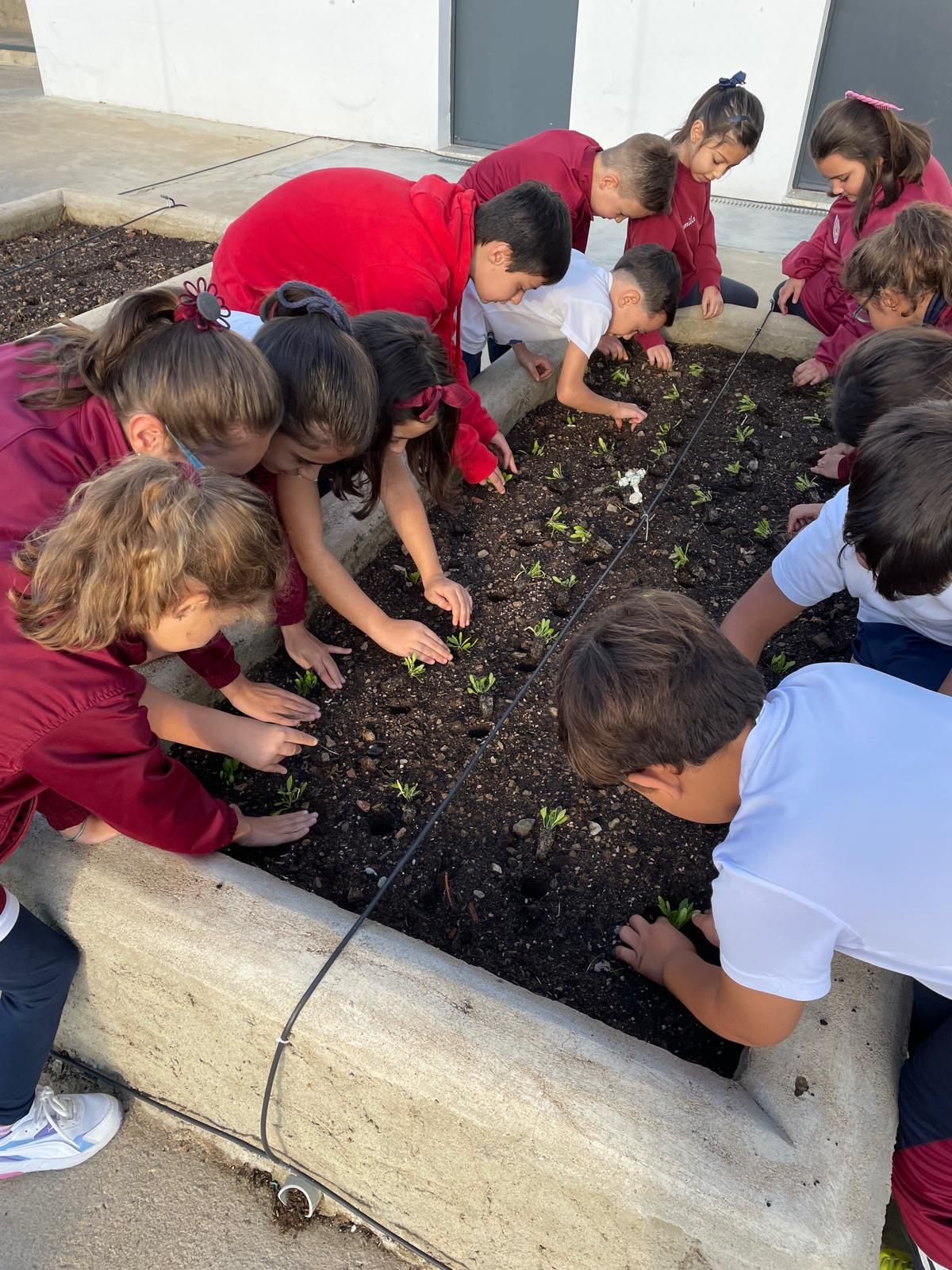 WhatsApp Image 2024 10 24 at 10.28.25 1